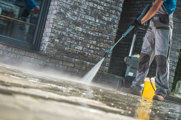 Best Pre-Holiday Cleaning  in Palmview South, TX